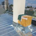Img-8384